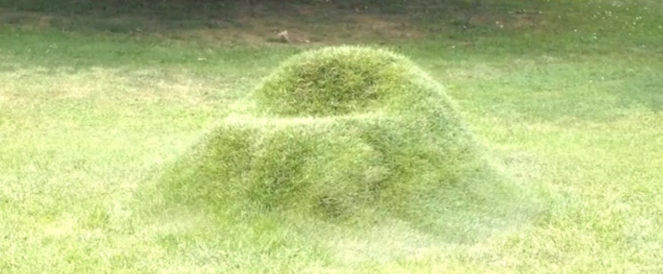 Sillas de césped, sostenibilidad y originalidad para las...